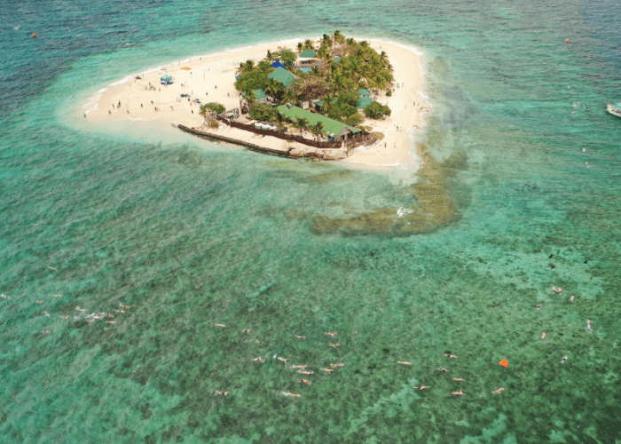 Ocean Swim Fiji - South Sea Island